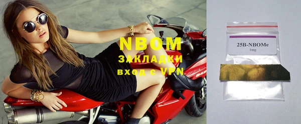 спиды Бородино