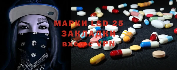 спиды Бородино