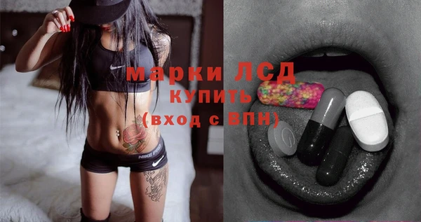 спиды Бородино
