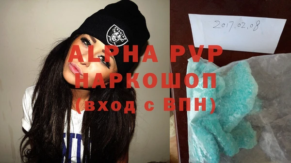 спиды Бородино