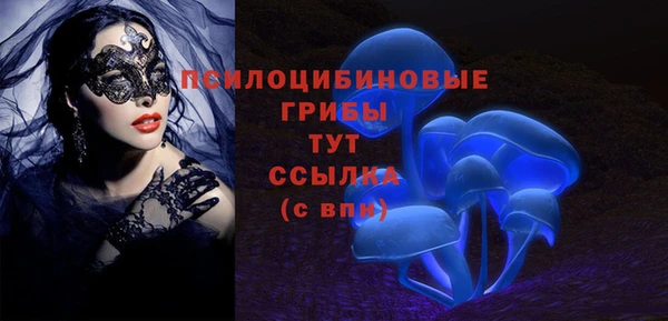 бутират Бугульма