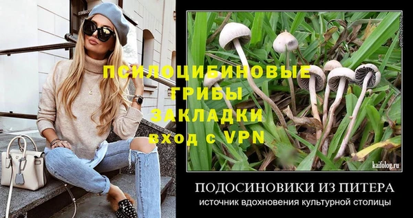 спиды Бородино