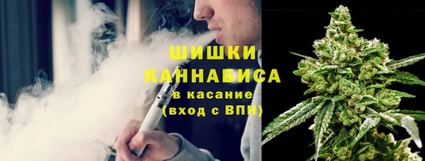 спиды Бородино