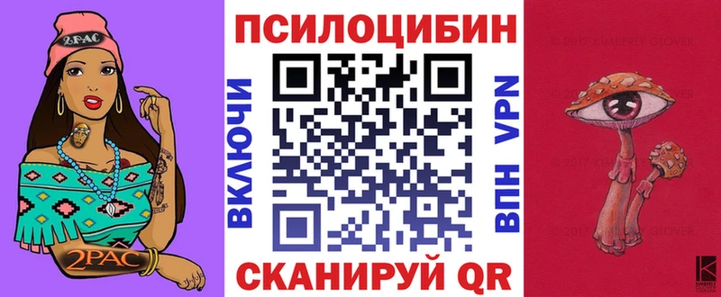 Псилоцибиновые грибы Psilocybine cubensis  где продают наркотики  Городище 